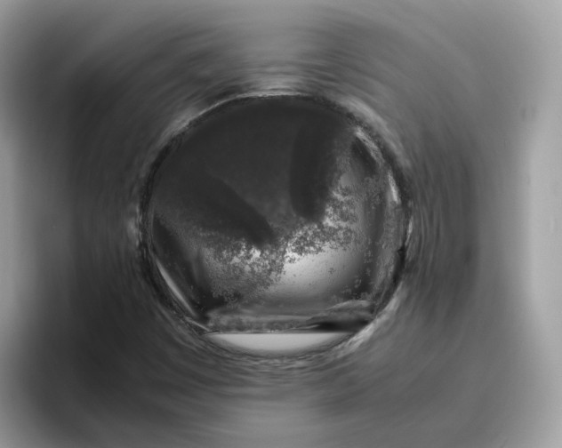 X0000095951449200801251120