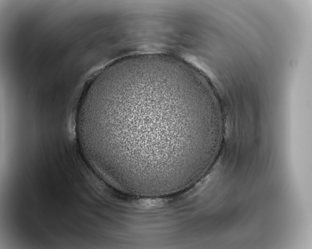 X0000095951451200801251120