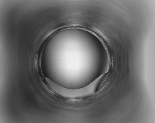 X0000095951452200801251120