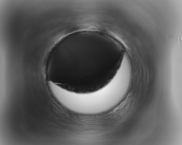 X0000095951455200801251120