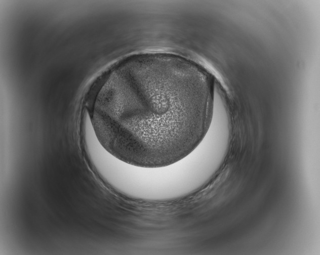 X0000095951456200801251120