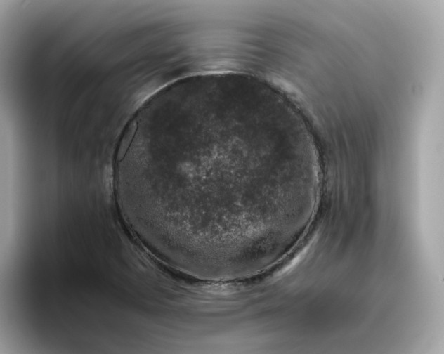 X0000095951457200801251120