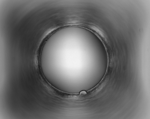 X0000095951458200801251120