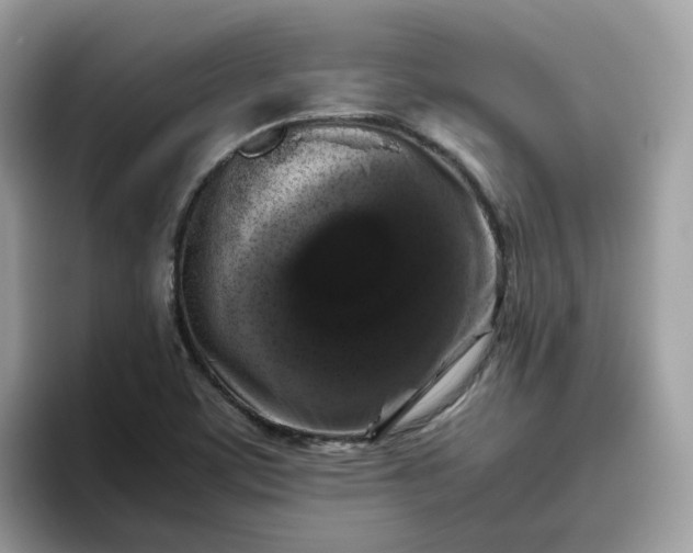 X0000095951459200801251120