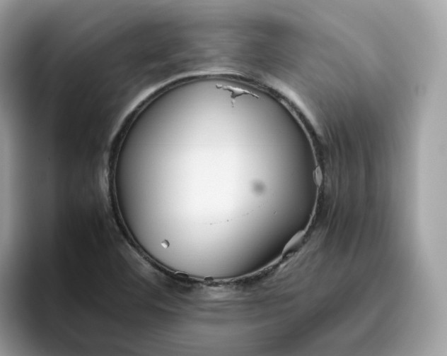 X0000095951460200801251120