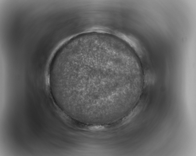 X0000095951462200801251120