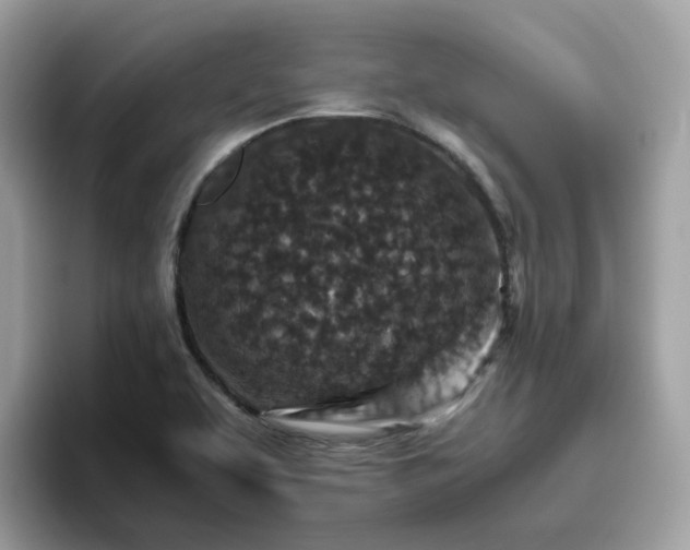 X0000095951463200801251120