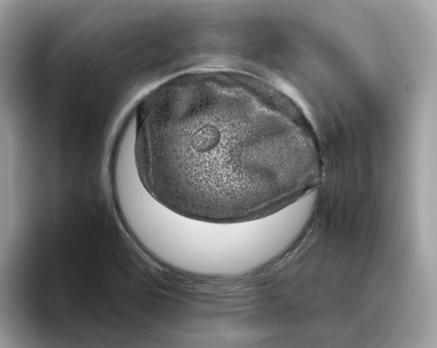 X0000095951464200801251120