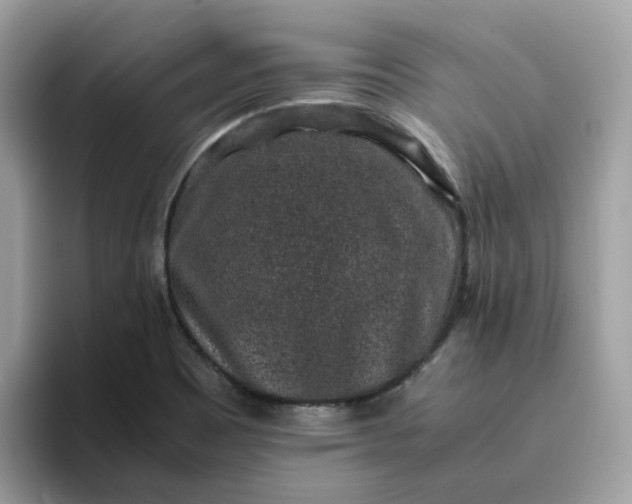 X0000095951465200801251120