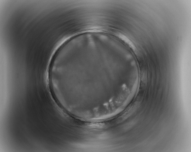 X0000095951466200801251120