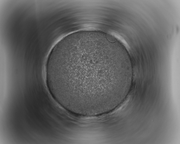 X0000095951467200801251120