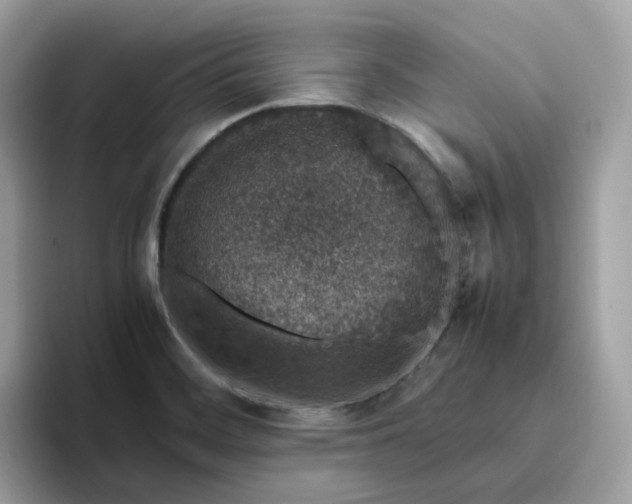 X0000095951468200801251120