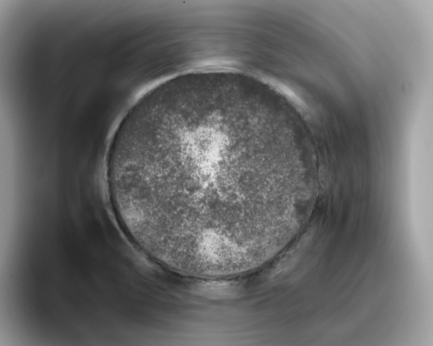 X0000095951470200801251120