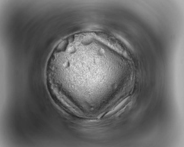 X0000095951471200801251120