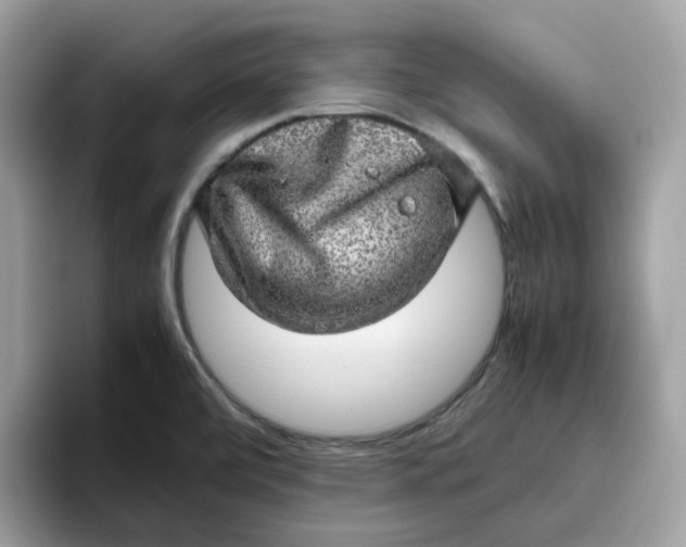 X0000095951472200801251120