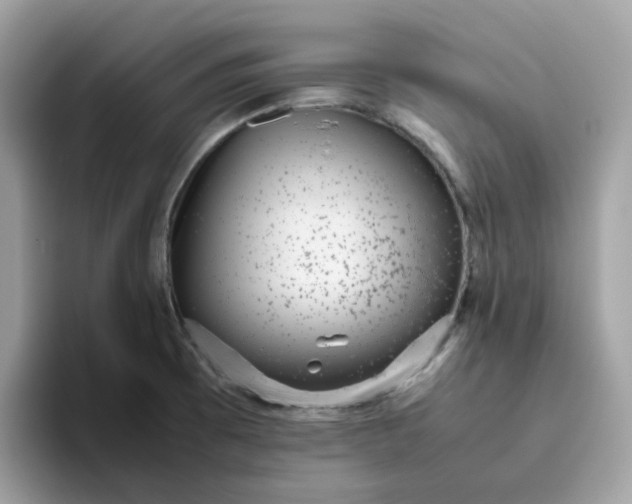 X0000095951473200801251120