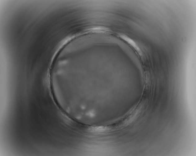 X0000095951474200801251120