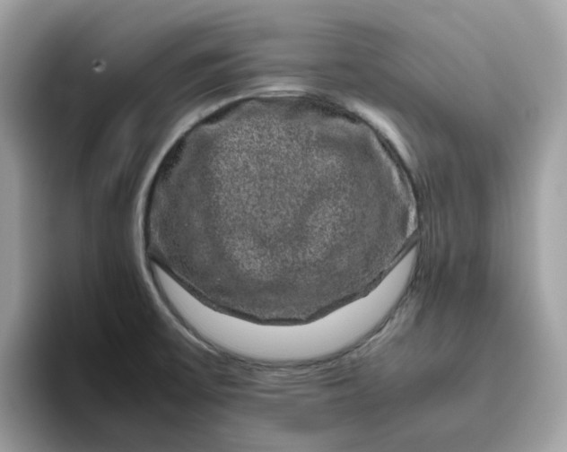 X0000095951475200801251120