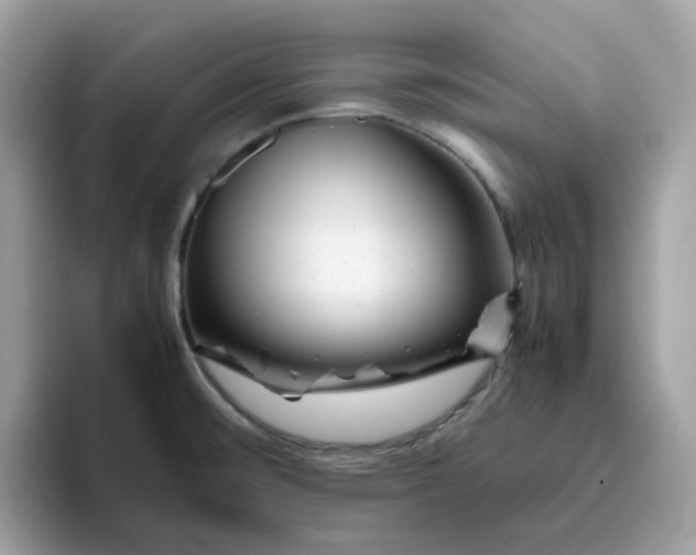 X0000095951476200801251120