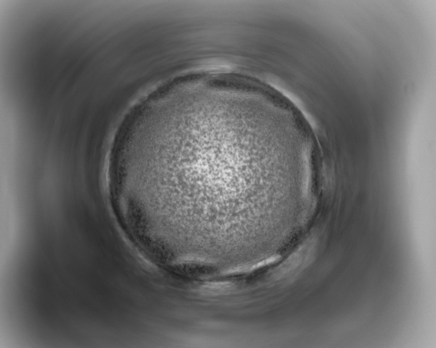 X0000095951477200801251120