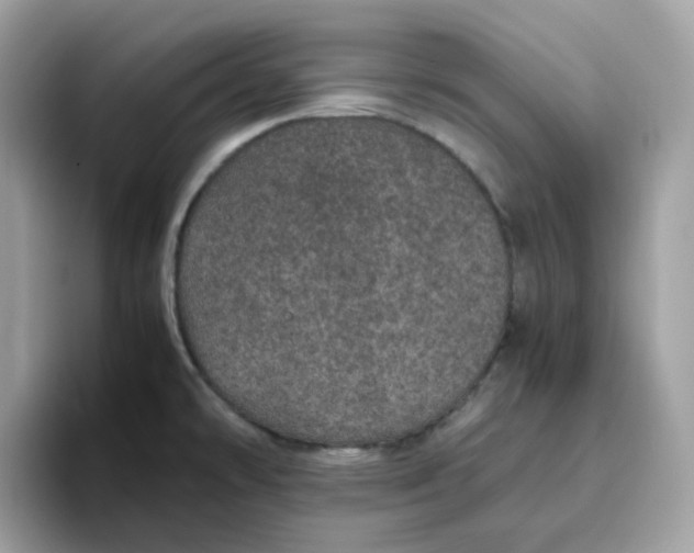 X0000095951478200801251120