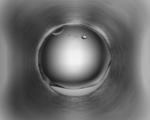 X0000095951480200801251120