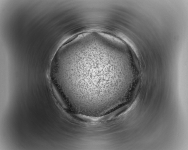 X0000095951481200801251120