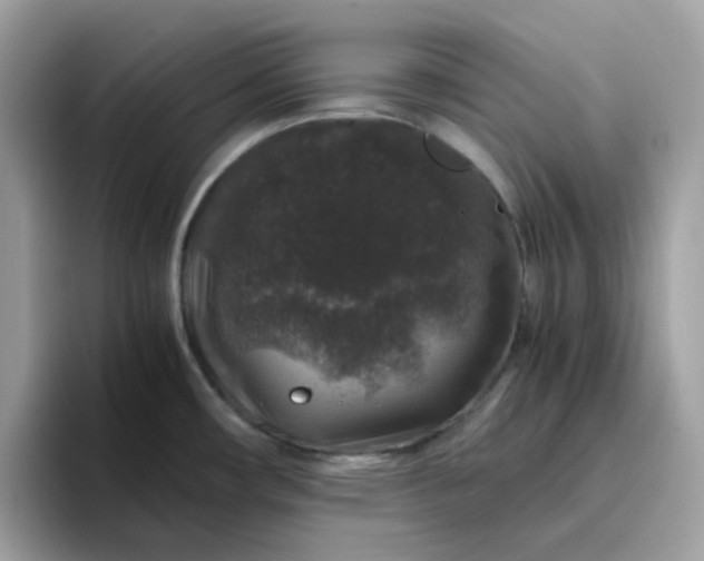 X0000095951482200801251120