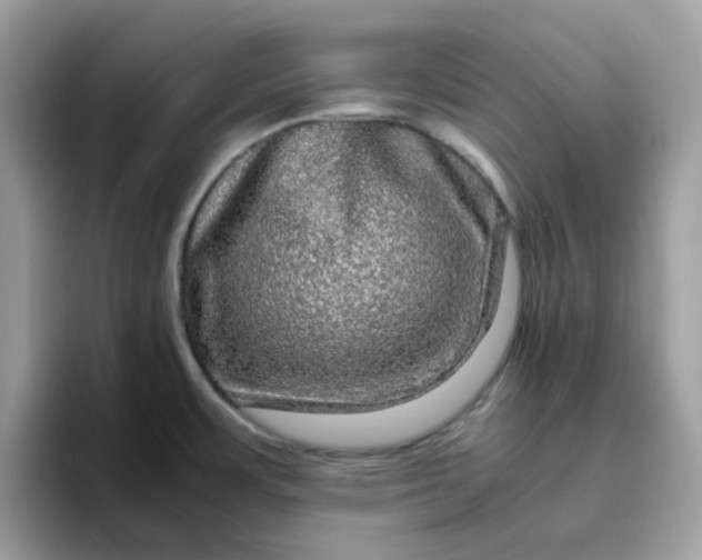 X0000095951483200801251120