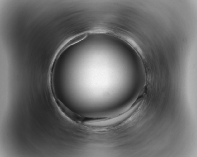 X0000095951484200801251120