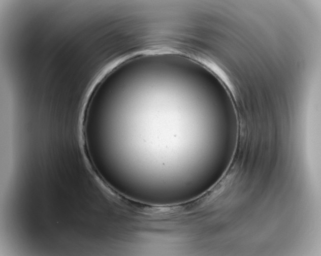 X0000095951485200801251120