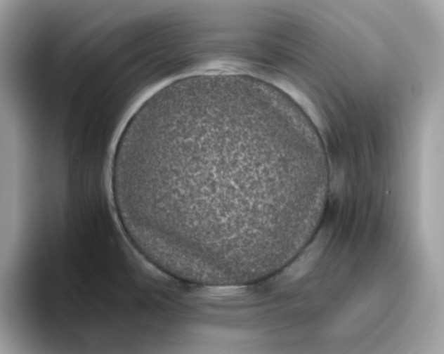 X0000095951486200801251120