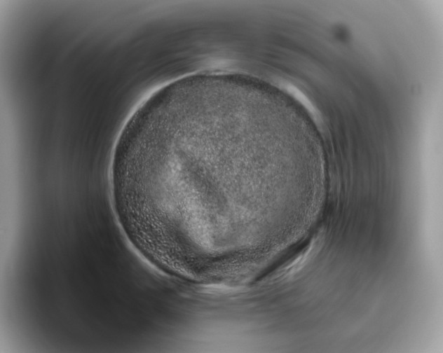 X0000095951487200801251120