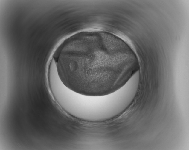 X0000095951488200801251120