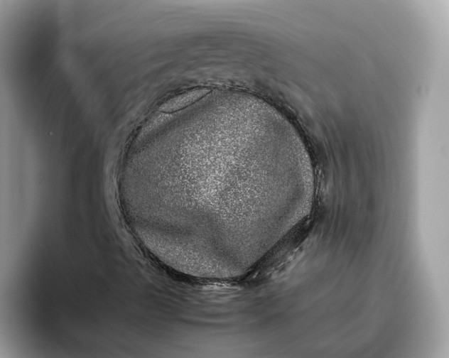 X0000095951489200801251119