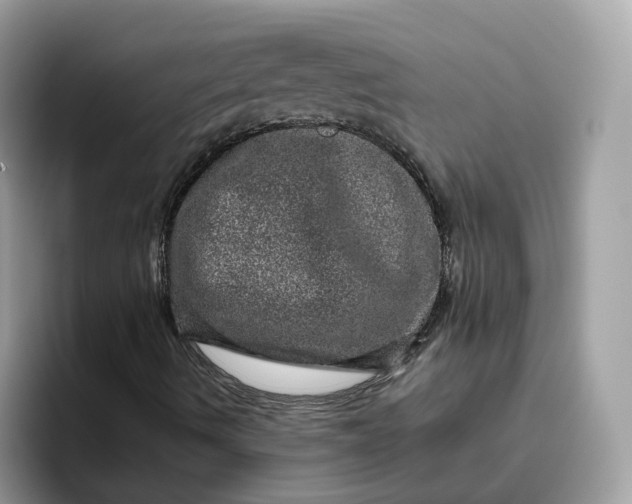 X0000095951490200801251119