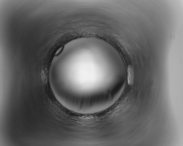 X0000095951491200801251119