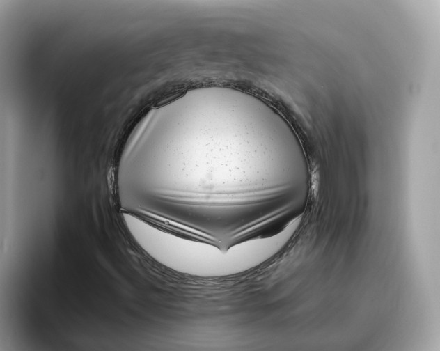 X0000095951492200801251119