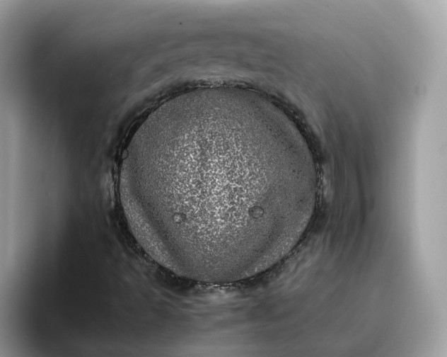 X0000095951493200801251119