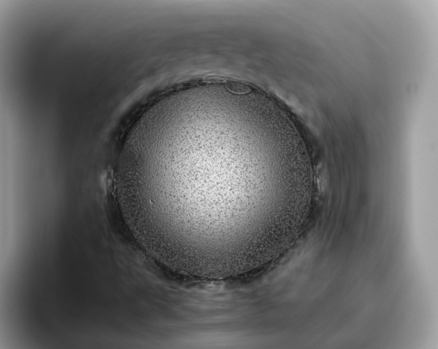 X0000095951495200801251119