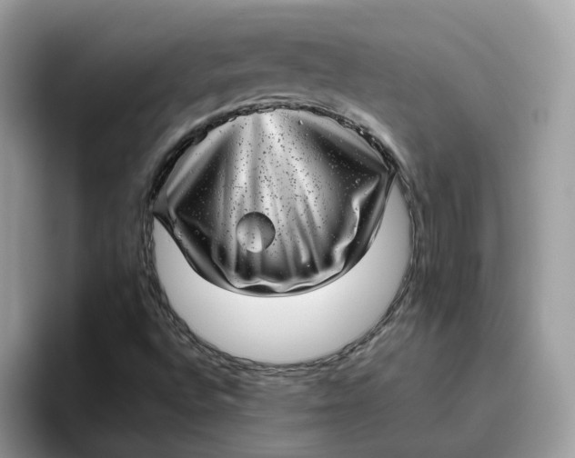 X0000095951496200801251119