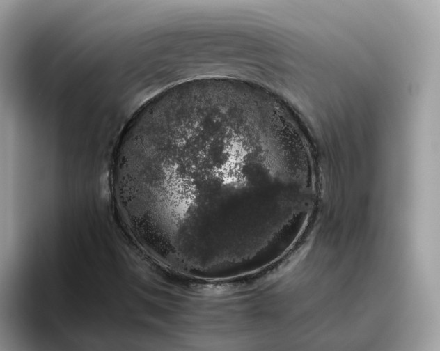 X0000095951497200801251119