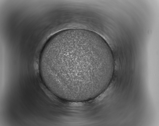 X0000095951499200801251119