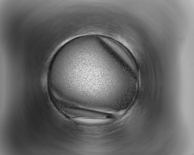 X0000095951500200801251119