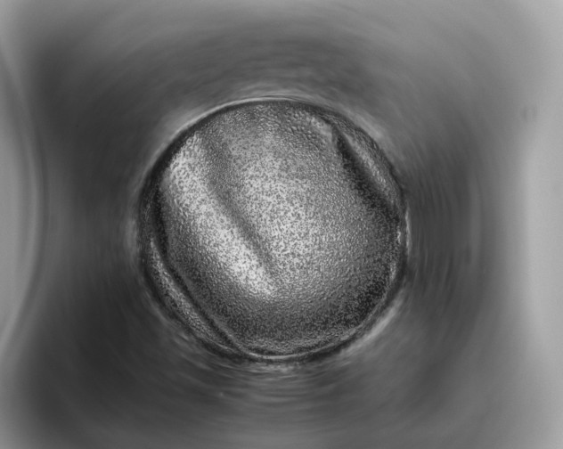 X0000095951501200801251119