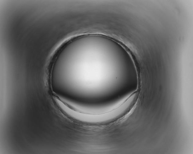 X0000095951502200801251119