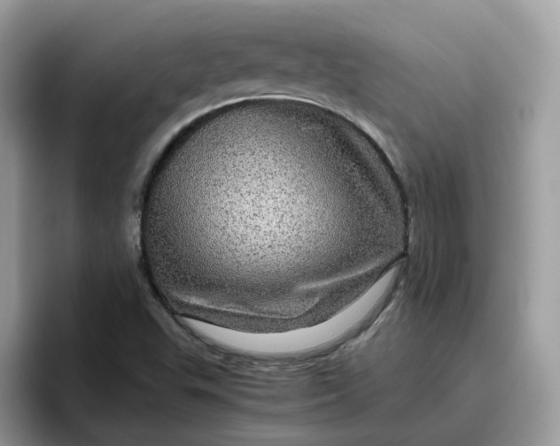 X0000095951503200801251119