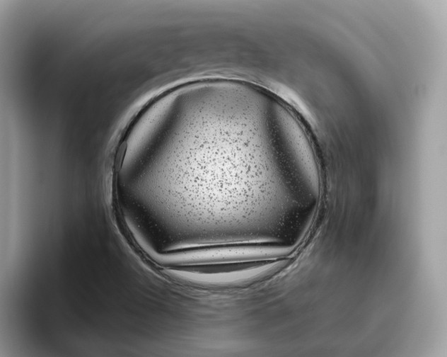 X0000095951504200801251119