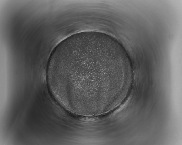 X0000095951505200801251119