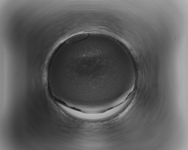 X0000095951506200801251119